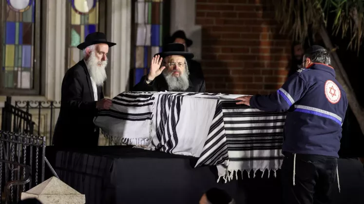 tzvi kogan