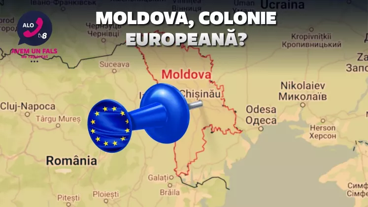 alo cover colonie