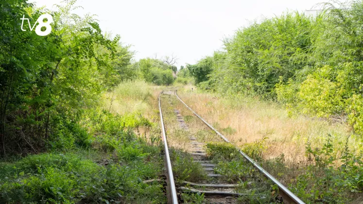 tren cale ferata 