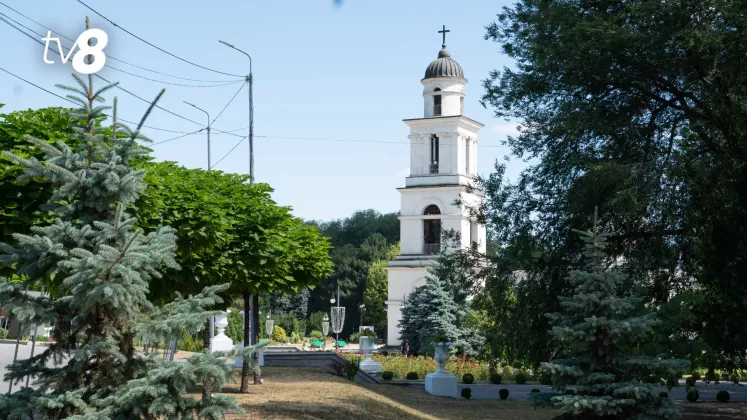 Catedrala Biserici