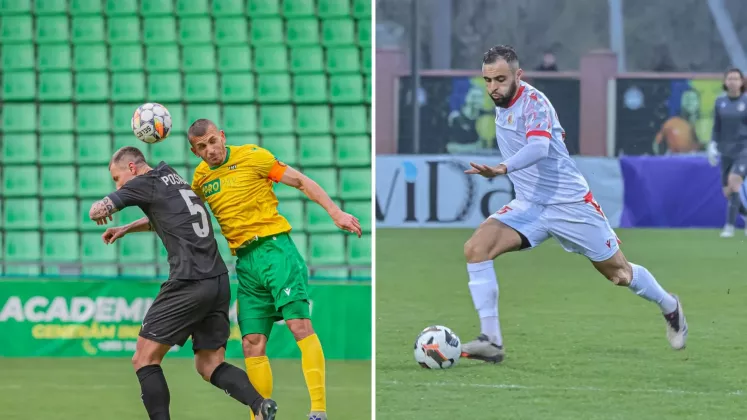 zimbru milsami