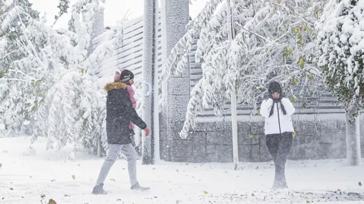 ninge ro