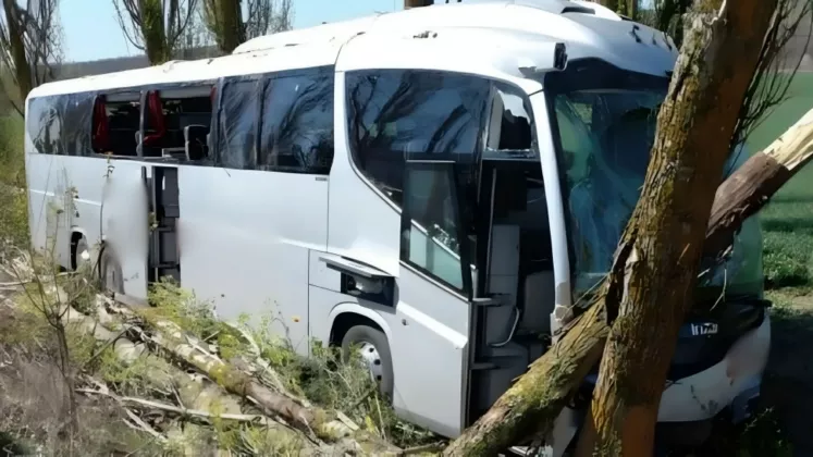 Emilia - 2025-04-22T101806.530