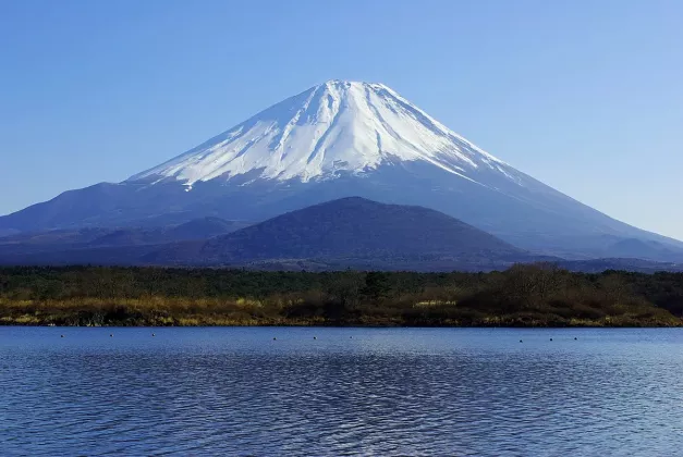 Kodaki_fuji_frm_shojinko