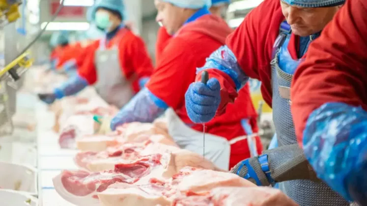 carne de porc