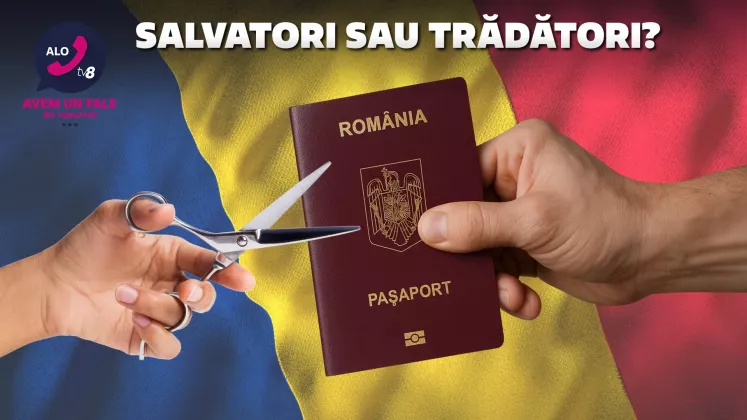 alo cover tradatori
