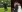 /VIDEO/ Magnat și-a luat adio de la burlăcie. După ce s-a cununat religios, artistul joacă nunta