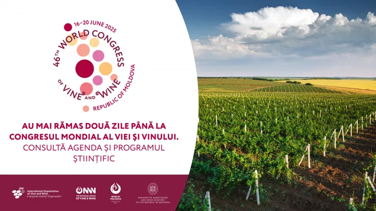 Au mai rămas două zile până la Congresul OIV