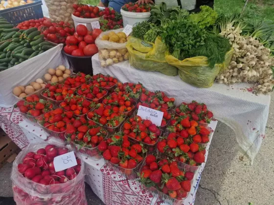 ярмарка местных производителей5 кишинев
