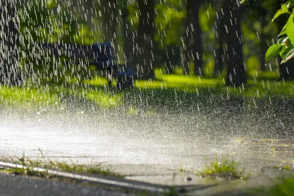 depositphotos_208261882-stock-photo-drops-warm-summer-rain-falling