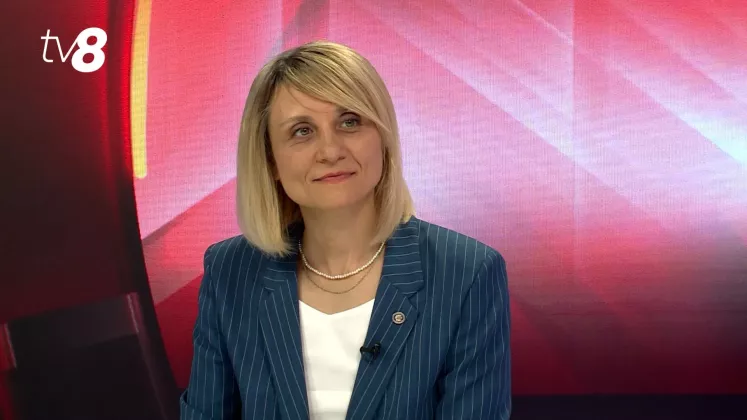 doina nistor