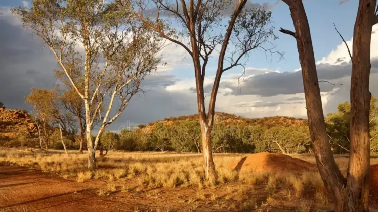 australia