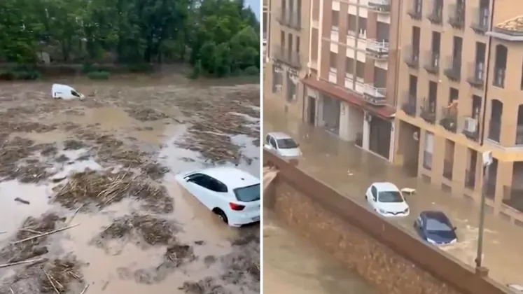 cristi (38)