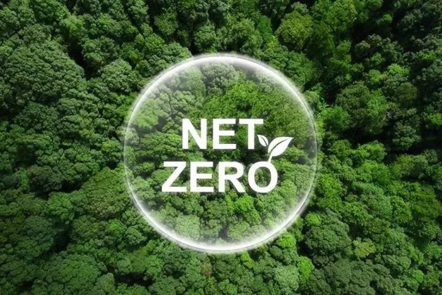 netzero-forest (002)