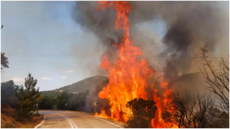 пожары испания