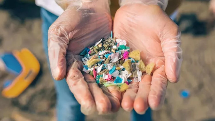 poluare plastic