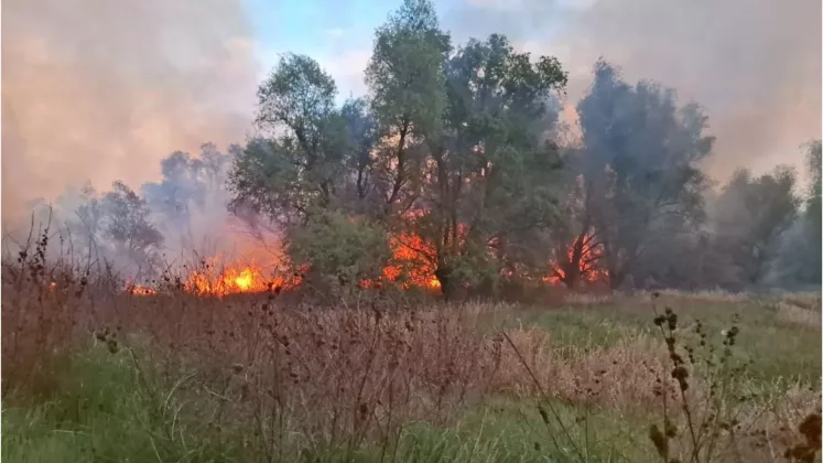 incendiu (2)