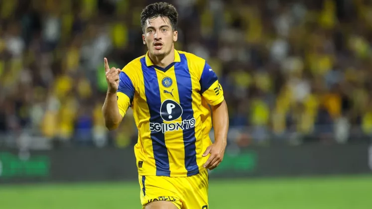 ion nicolaescu