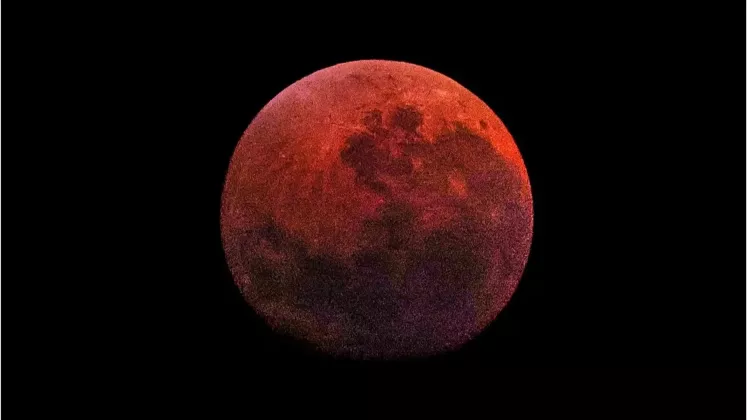 luna rosie