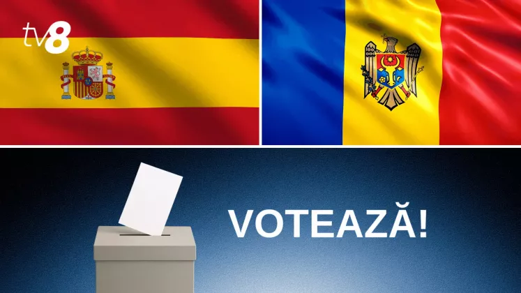 carton vot spania 