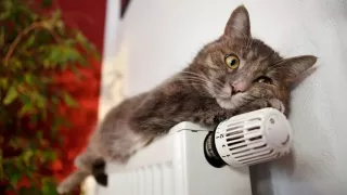 Морозы скоро отступят. Прогноз погоды на сегодня, 20 января