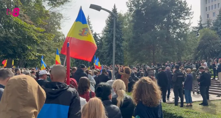 додон протест