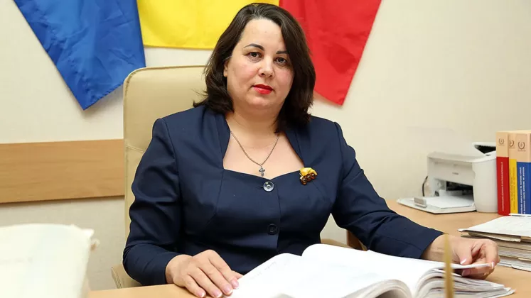 viorica puica