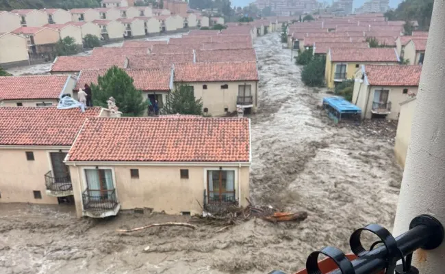 Captură de ecran 2025-10-04 121338