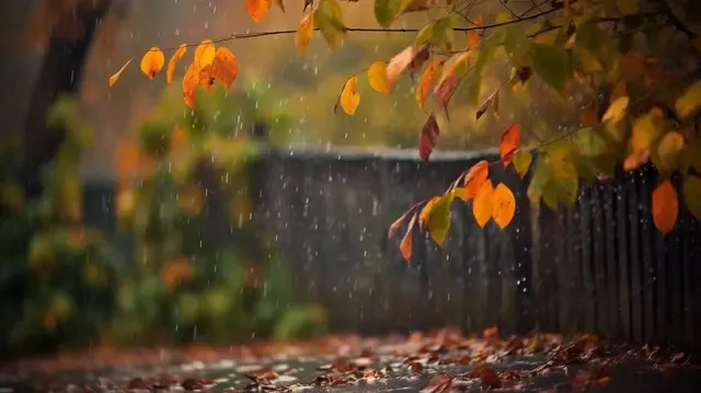pngtree-autumn-leaves-under-the-rain-on-a-walkway-image_2927550