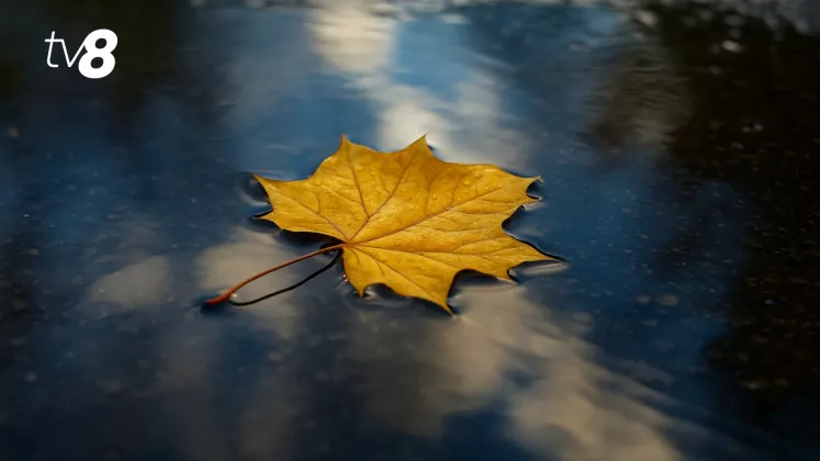 meteo foto generată de IA