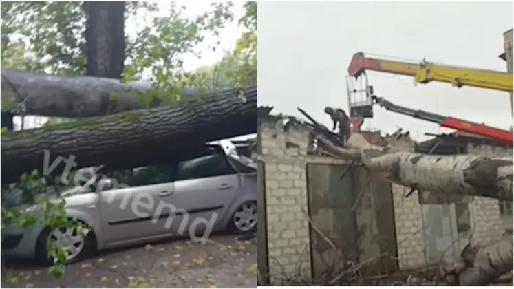 последствия дождей