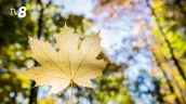 /METEO/ Vremea azi, 15 septembrie 2026: Zi cu cer variabil și fără ploi. Temperaturile prognozate