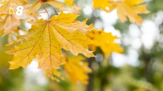 /METEO/ Cer mai mult noros, cu intensificări locale ale vântului: Temperaturile prognozate pentru astăzi, 19 octombrie 2025