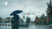 Ливни и ветер. Прогноз погоды на сегодня, 7 июня