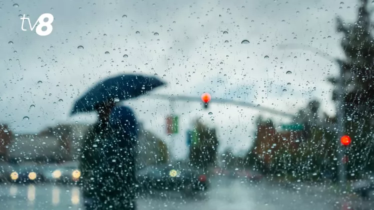 meteo ploaie (1)