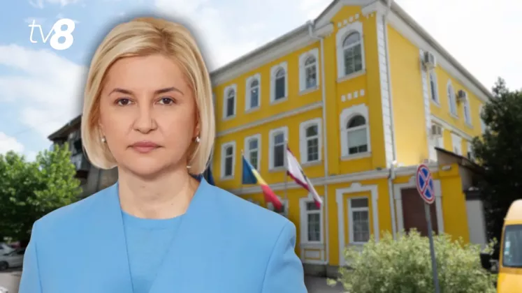 irina vlah