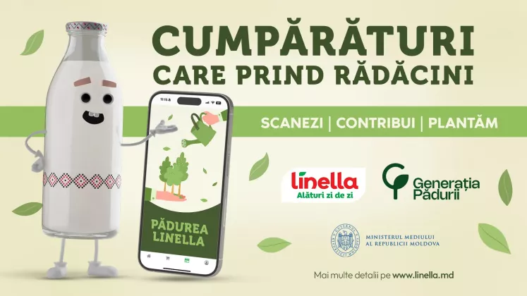 KV padurea Linella 1920x1080px