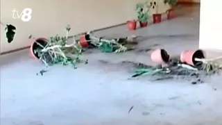 /VIDEO/ Școală din Moldova, devastată de elevi: Au spart fereastra cantinei, s-au îndulcit și nu s-au oprit aici