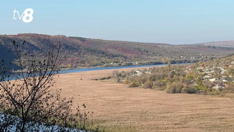 meteo Nistru