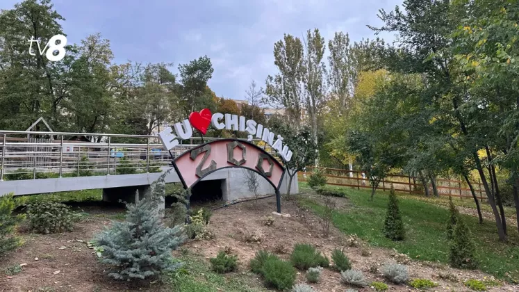 зоо