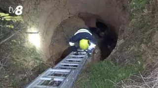 /VIDEO/ Misiune specială la Căușeni: Un bărbat dispărut a căzut într-o groapă