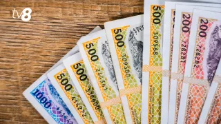 /VIDEO/ Salarii plafonate: PAS vrea lefuri mai mici pentru șefii de la ANRE, CNPF și ANRCETI