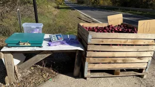 Cine e proprietara tarabei de mere fără vânzător de pe traseul Chișinău-Criuleni: „E nevoie de bun simț”