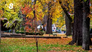 Переменная облачность, без осадков. Прогноз погоды на сегодня, 14 ноября