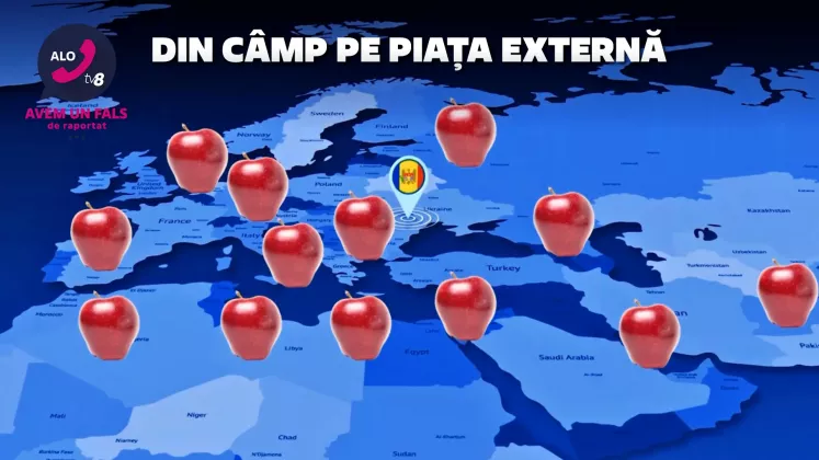 alo cover piata externa