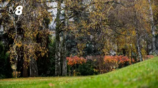 Пасмурная пятница. Прогноз погоды на сегодня, 5 декабря