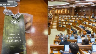 /VIDEO/ Ghinde în Parlament, inima lui Usatîi și hârlețul lui Costiuc. Ministru: „Experții apar ca ciupercile după ploaie”