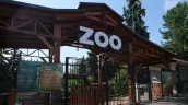 Grădina Zoologică își schimbă programul pentru sezonul rece: Până la ce oră va activa