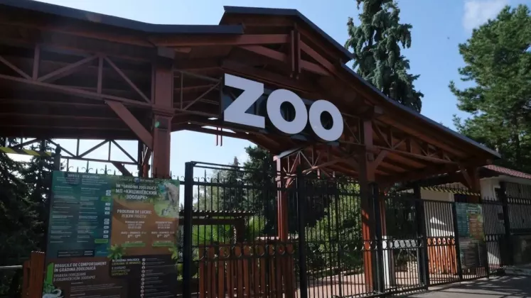 grădina zoologică