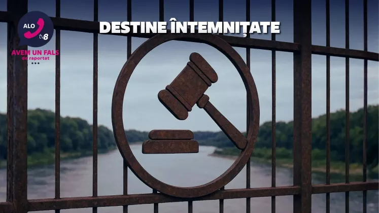 alo cover DESTINE ÎNTEMNIȚATE